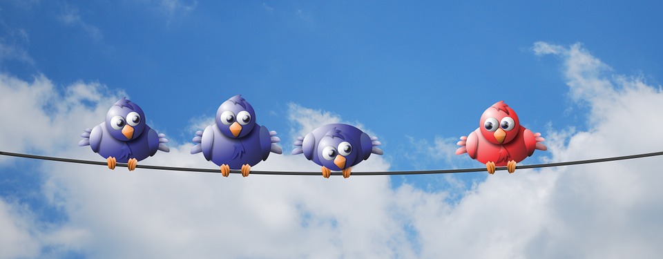 three blue birds and one red bird sitting on a wire